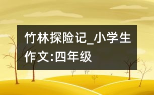 竹林“探險”記_小學生作文:四年級