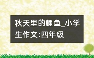 秋天里的鯉魚(yú)_小學(xué)生作文:四年級(jí)