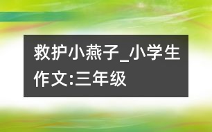 救護(hù)小燕子_小學(xué)生作文:三年級(jí)