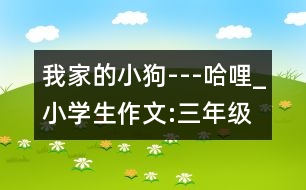 我家的小狗---哈哩_小學(xué)生作文:三年級(jí)