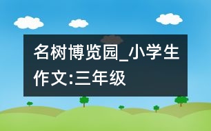 名樹博覽園_小學生作文:三年級