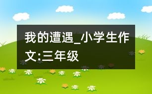 我的遭遇_小學(xué)生作文:三年級(jí)