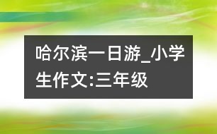 哈爾濱一日游_小學生作文:三年級