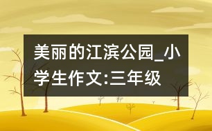 美麗的江濱公園_小學(xué)生作文:三年級