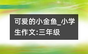 可愛的小金魚_小學生作文:三年級