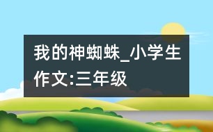 我的神蜘蛛_小學生作文:三年級