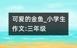 可愛的金魚_小學生作文:三年級