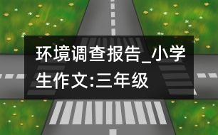 環(huán)境調(diào)查報告_小學生作文:三年級