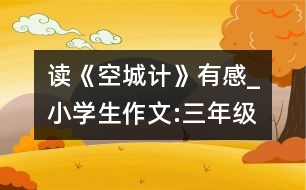 讀《空城計(jì)》有感_小學(xué)生作文:三年級