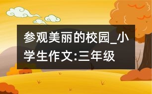 參觀美麗的校園_小學生作文:三年級