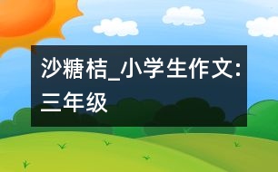 沙糖桔_小學生作文:三年級