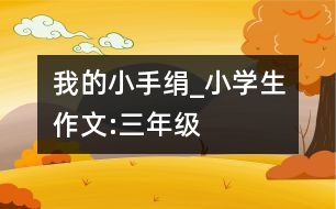 我的小手絹_小學(xué)生作文:三年級(jí)