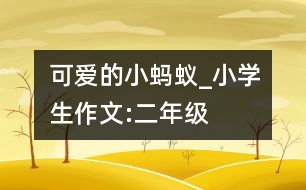 可愛的小螞蟻_小學生作文:二年級