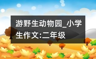 游野生動物園_小學生作文:二年級