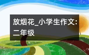 放煙花_小學生作文:二年級