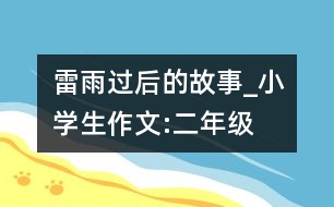 雷雨過后的故事_小學生作文:二年級