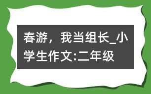 春游，我當(dāng)組長_小學(xué)生作文:二年級