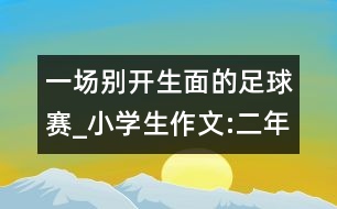 一場別開生面的足球賽_小學(xué)生作文:二年級