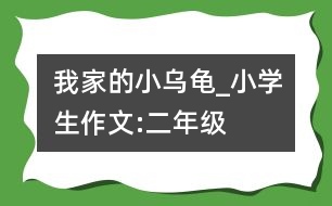 我家的小烏龜_小學生作文:二年級