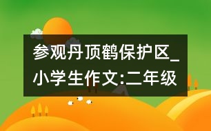 參觀丹頂鶴保護區(qū)_小學生作文:二年級