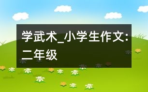 學(xué)武術(shù)_小學(xué)生作文:二年級