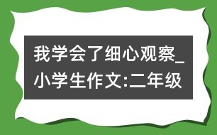 我學(xué)會(huì)了細(xì)心觀察_小學(xué)生作文:二年級