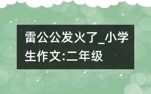 雷公公發(fā)火了_小學(xué)生作文:二年級(jí)