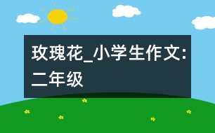 玫瑰花_小學(xué)生作文:二年級