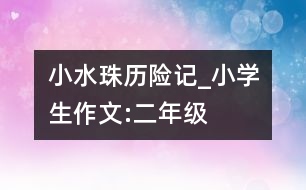 小水珠歷險(xiǎn)記_小學(xué)生作文:二年級(jí)