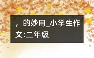 “，”的妙用_小學(xué)生作文:二年級