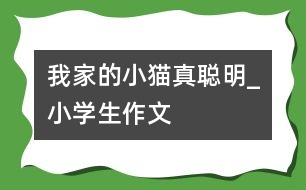 我家的小貓真聰明_小學生作文