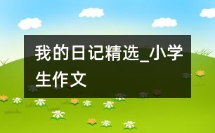 我的日記精選_小學(xué)生作文