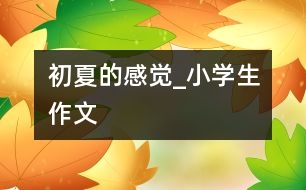 初夏的感覺_小學生作文