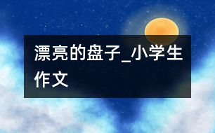 漂亮的盤(pán)子_小學(xué)生作文