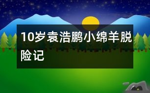 10歲袁浩鵬：小綿羊脫險(xiǎn)記