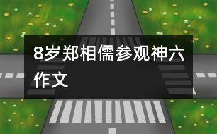 8歲鄭相儒：參觀“神六”（作文）