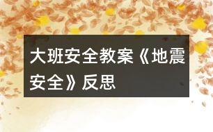 大班安全教案《地震安全》反思