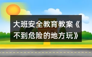 大班安全教育教案《不到危險的地方玩》反思