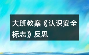 大班教案《認(rèn)識(shí)安全標(biāo)志》反思