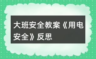 大班安全教案《用電安全》反思