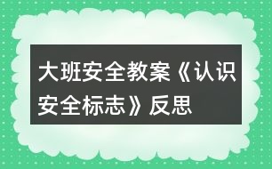 大班安全教案《認(rèn)識安全標(biāo)志》反思