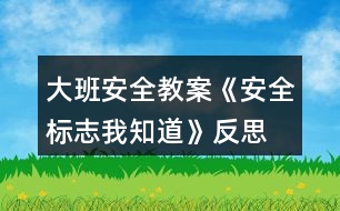 大班安全教案《安全標志我知道》反思