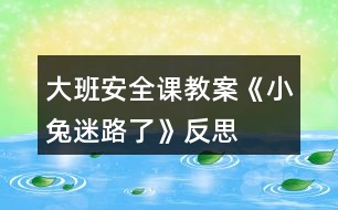 大班安全課教案《小兔迷路了》反思