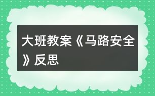 大班教案《馬路安全》反思