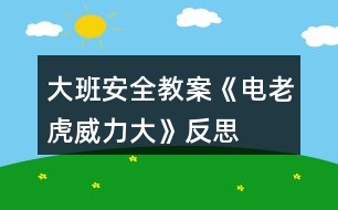 大班安全教案《電老虎威力大》反思