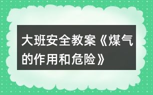 大班安全教案《煤氣的作用和危險(xiǎn)》