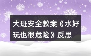 大班安全教案《水好玩也很危險》反思