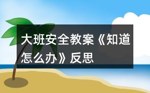 大班安全教案《知道怎么辦》反思