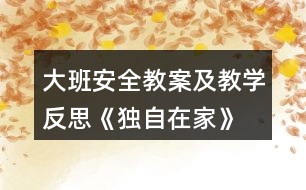 大班安全教案及教學反思《獨自在家》