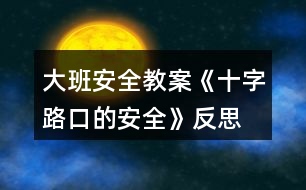 大班安全教案《十字路口的安全》反思